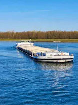 La Camargue